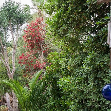Homey suite in Zichron Yaakov Zikhron Ya'akov Buitenkant foto