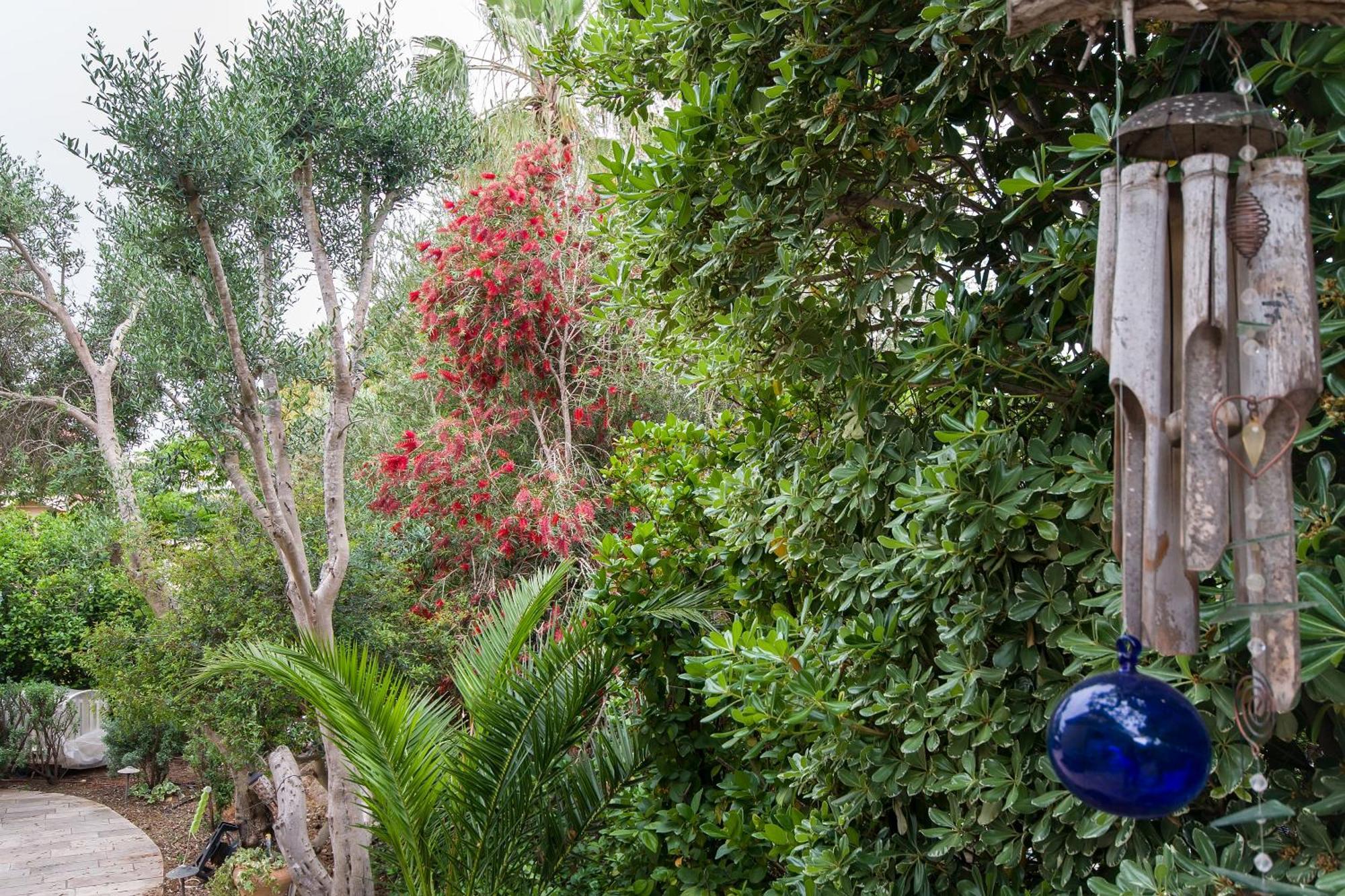 Homey suite in Zichron Yaakov Zikhron Ya'akov Buitenkant foto
